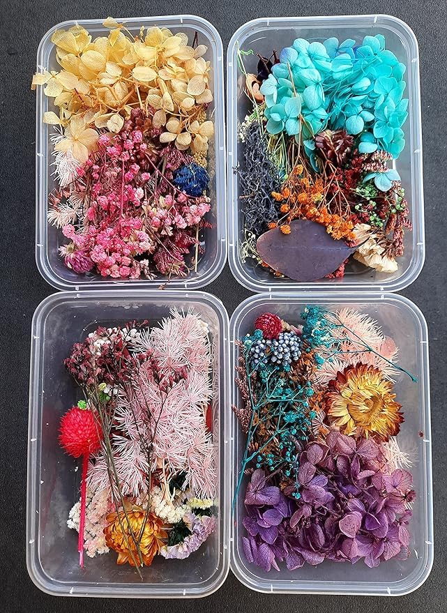 Assorted Dried Flower Box