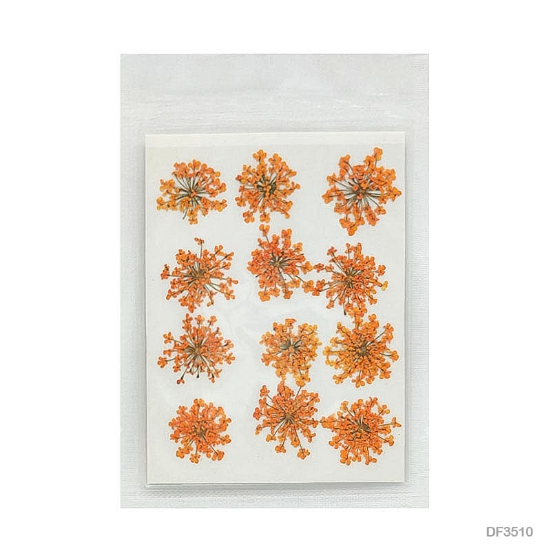 Dried Flower for Resin Dry 12 Flower Sheet Df35-10