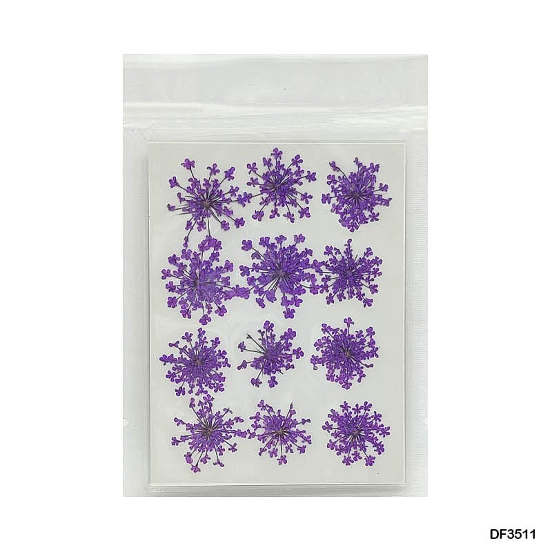 Dried Flower for Resin Dry 12 Flower Sheet Df35-11