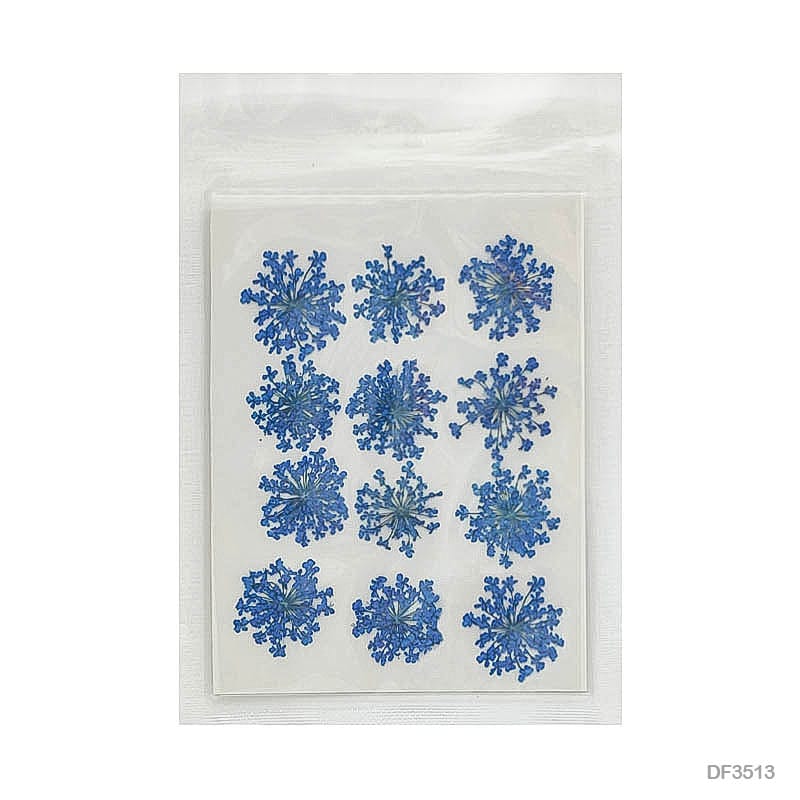Dried Flower for Resin Dry 12 Flower Sheet Df35-13