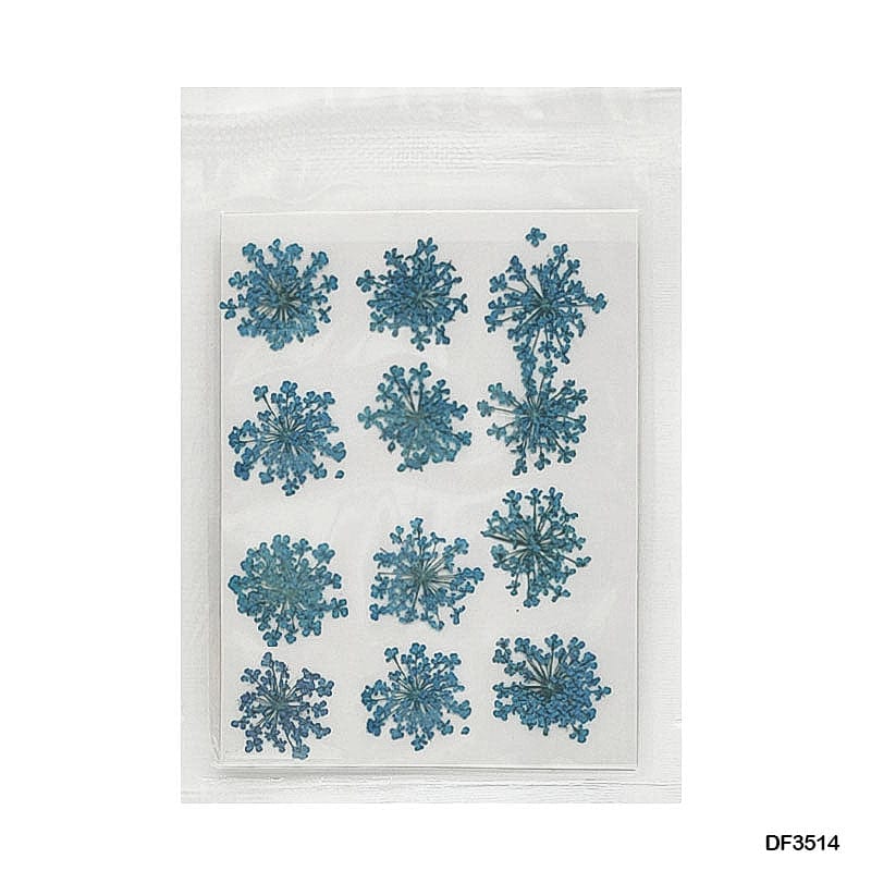 Dried Flower for Resin Dry 12 Flower Sheet Df35-14