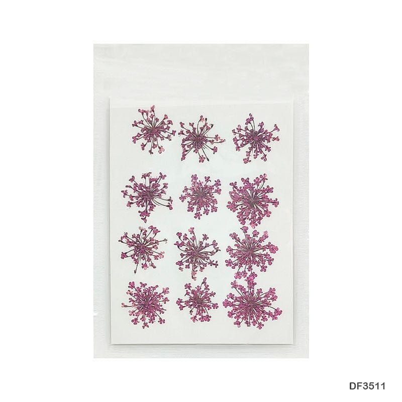 Dried Flower for Resin Dry 12 Flower Sheet