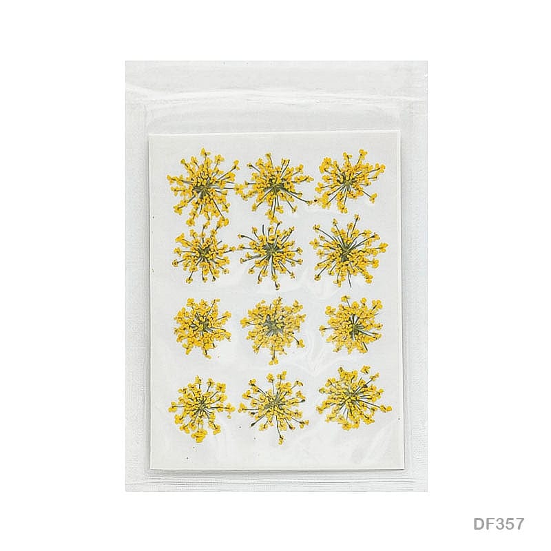 Dried Flower for Resin Dry 12 Flower Sheet Df35-7