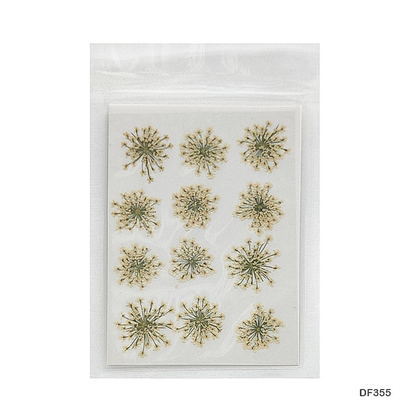 Dried Flower for Resin Dry 12 Flower Sheet Df35-8