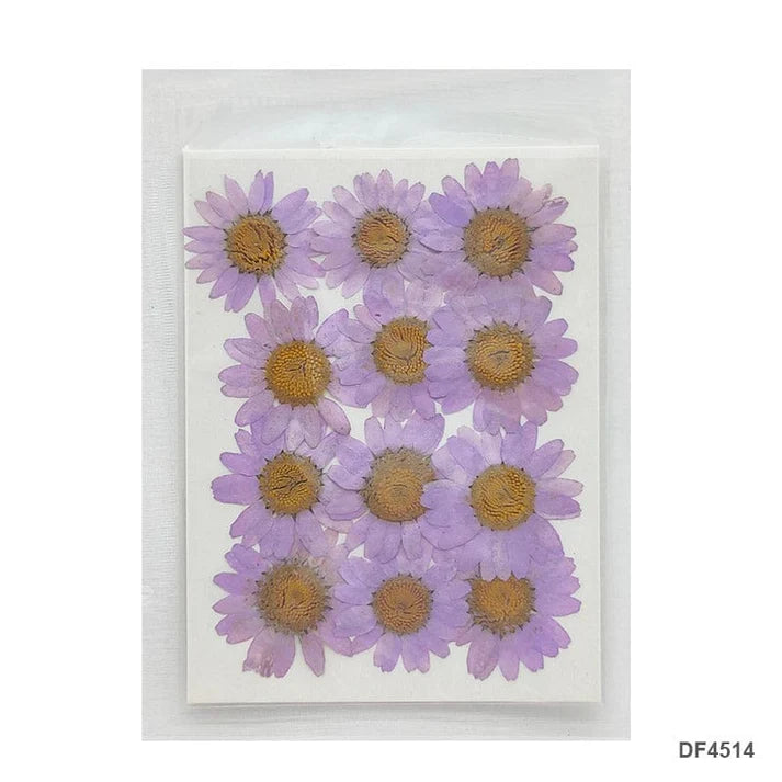 Dried Flower for Resin Dry 12 Flower Sheet Df45-14