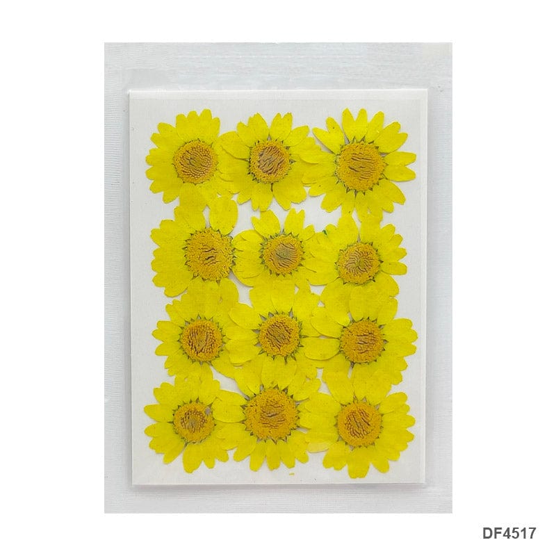 Dried Flower for Resin Dry 12 Flower Sheet Df45-17