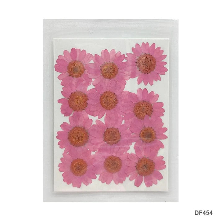 Dried Flower for Resin Dry 12 Flower Sheet Df45-4