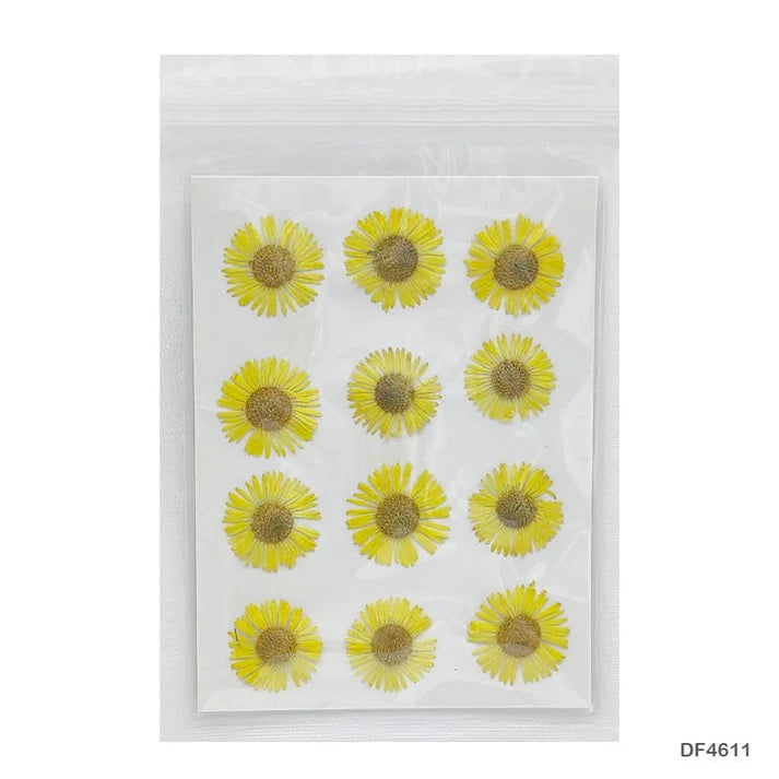 Dried Flower for Resin Dry 12 Flower Sheet Df46-11