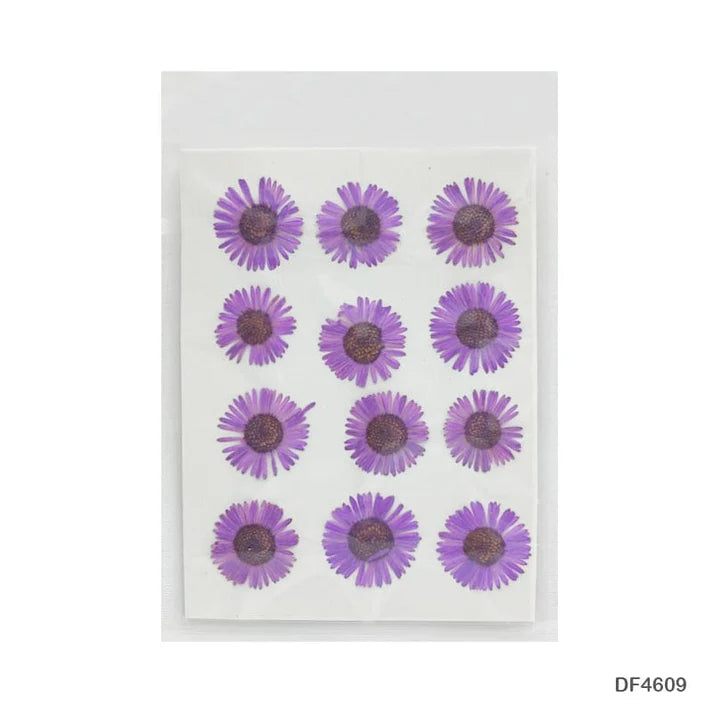 Dried Flower for Resin Dry 12 Flower Sheet Df46-9