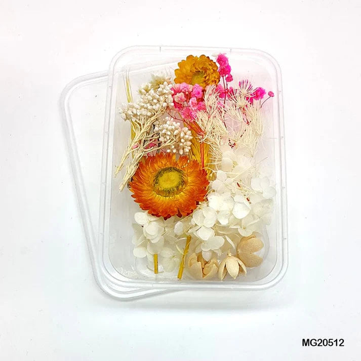 Dried Flower for Resin Dry Flower Box Mg-205-12