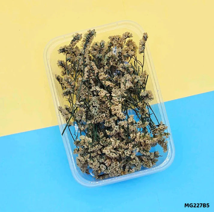 Dry Flower Box Mg227B5