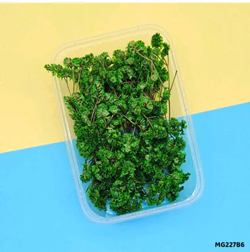 Dry Flower Box l Pack of 1 l Mg227B6