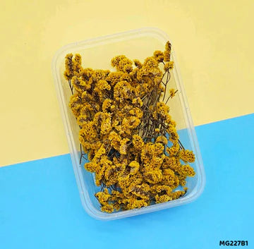 Dry Flower Box l Pack of 1 l  Mg227B1