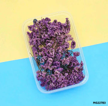 Dry Flower Box l Pack of 1 l Mg227B3