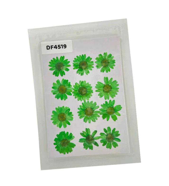 Delicate Dried Flowers for Resin Art & Crafts