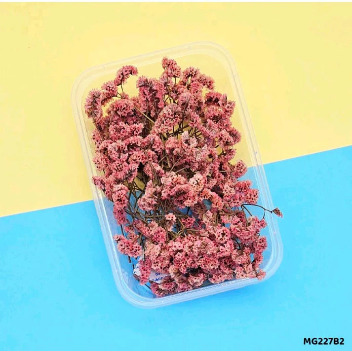 Dry Flower Box l Pack of 1 l  Mg227B2