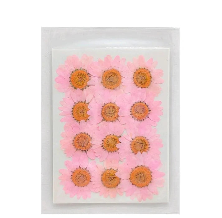 Dry Pink Flower Korean Sheet for Journaling and Resin Art (Candle making)
