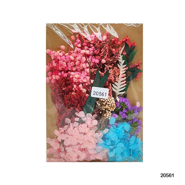 Dry Flower Big Pkt Mg20561