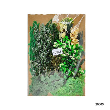 Dry Flower Big Pkt Mg20563