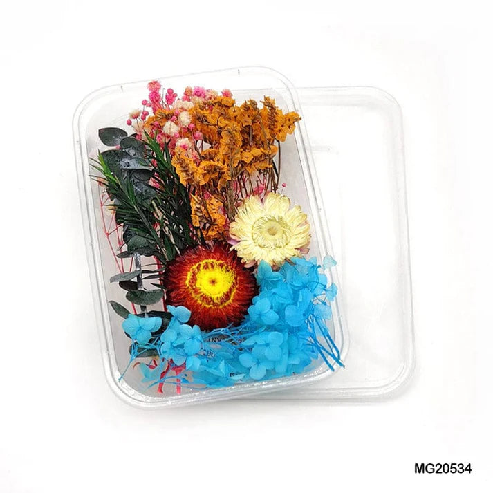 Dry Flower Box Mg205-34