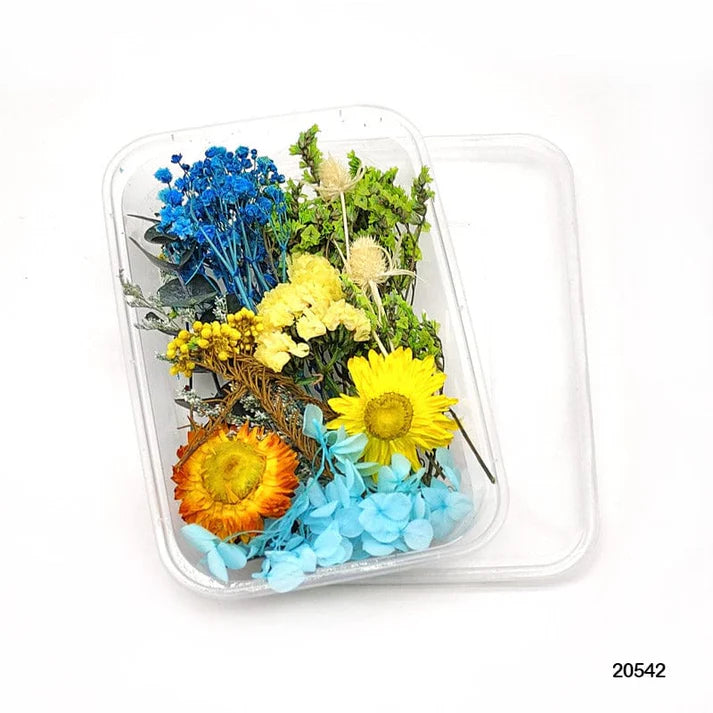 Dry Flower Box Mg205-42