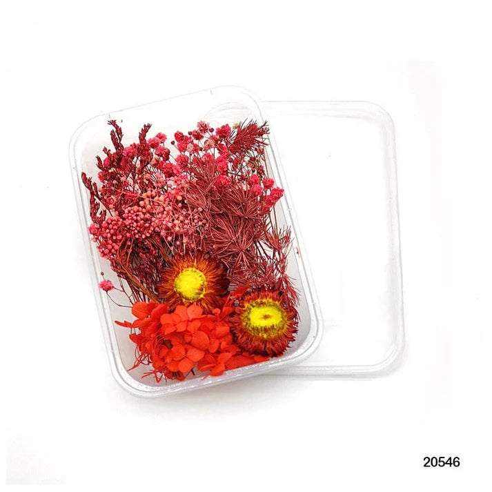 Dry Flower Box Mg205-46