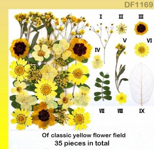 Dry Flower Sheet        Code  Df116-9