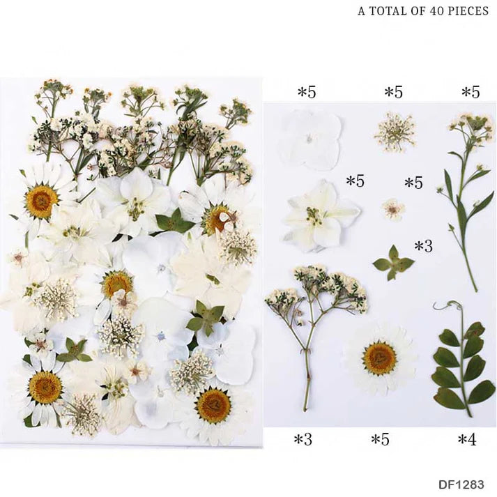 Assorted Natural Dried Flowers for Resin Art & Craft (40 Pcs)