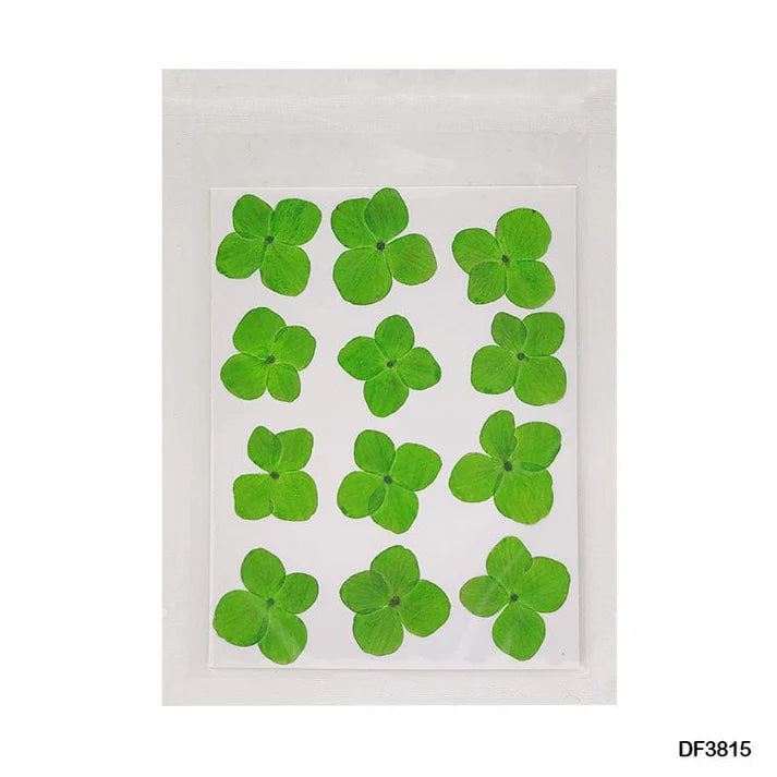 Dry 12 Flower Sheet       Code  Df38-15