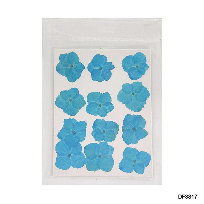 Dry 12 Flower Sheet       Code  Df38-17