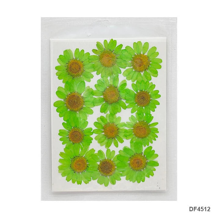 Dry 12 Flower Sheet       Code  Df45-12