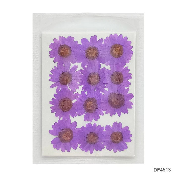 Dry 12 Flower Sheet       Code  Df45-13