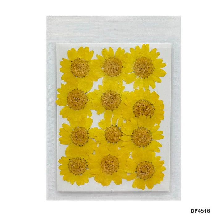 Dry 12 Flower Sheet Df45-16