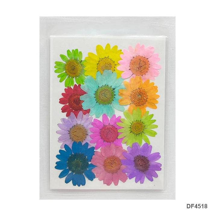 Dry 12 Flower Sheet       Code  Df45-18