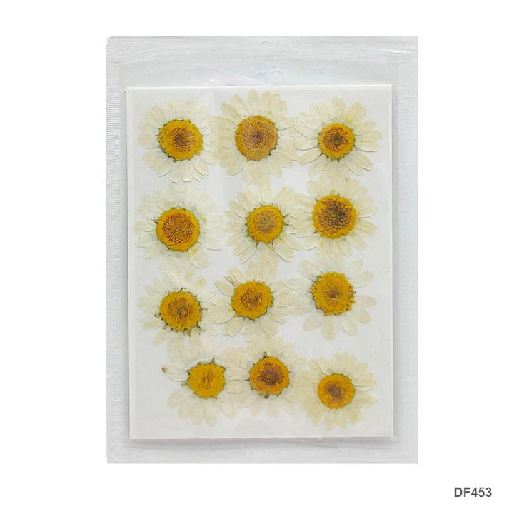 Dry 12 Flower Sheet       Code  Df45-3