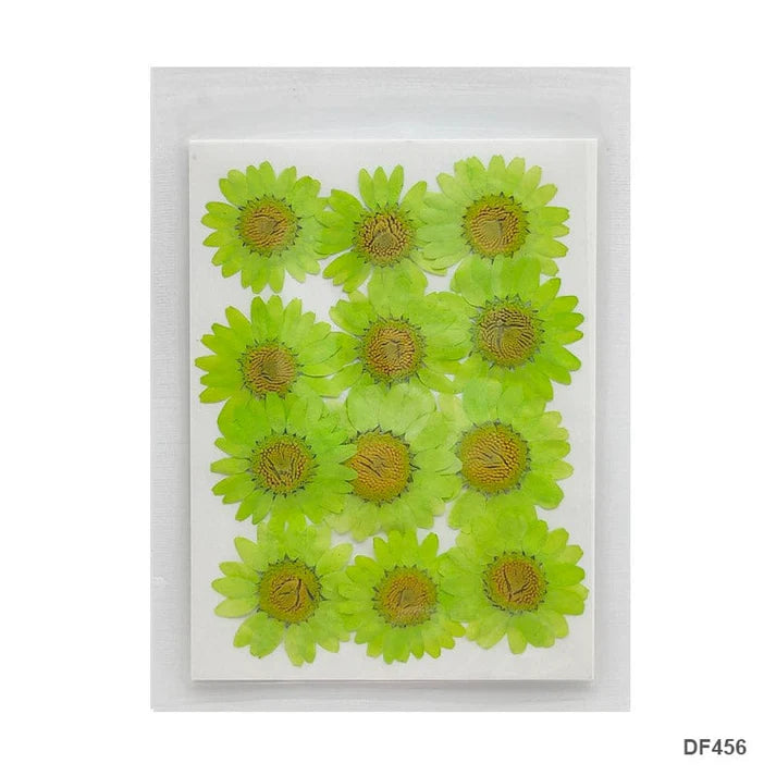 Dry 12 Flower Sheet Df45-6