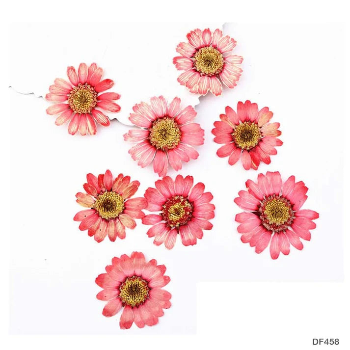 Dry 12 Flower Sheet       Code  Df45-8