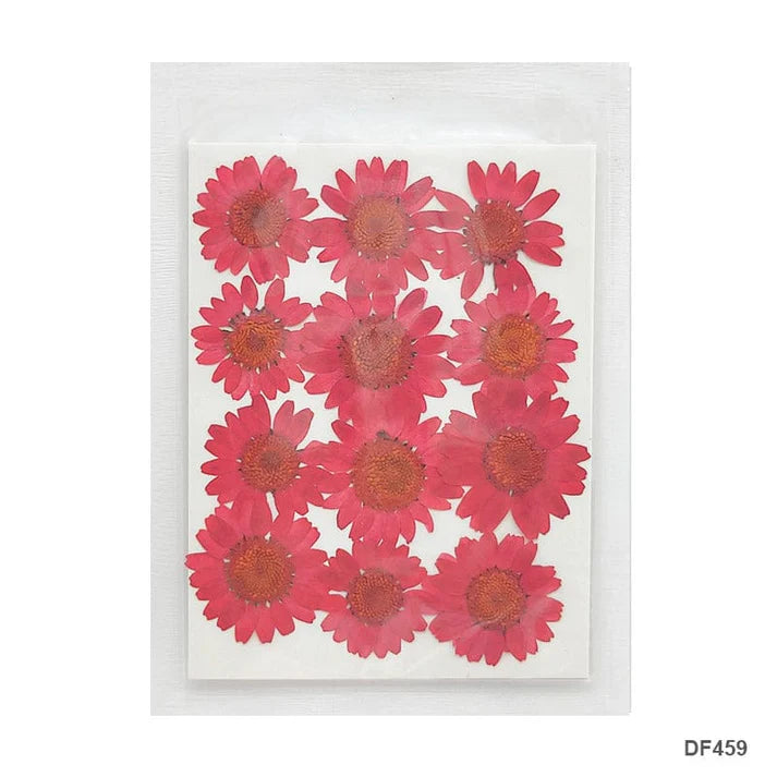 Dry 12 Flower Sheet Df45-9