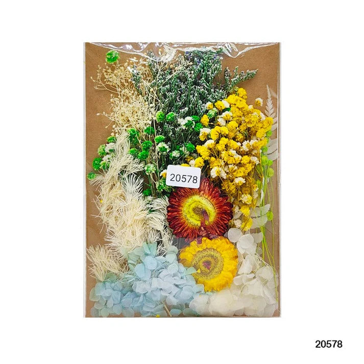 Dry Flower Big Pkt Mg20578