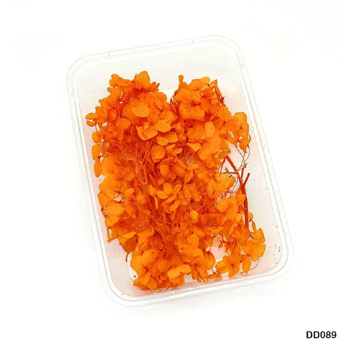 Dry Flower Box        Code  Dd089