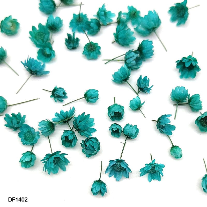 Dry Flower 140Pcs Round Box Peacock Blue Df1402