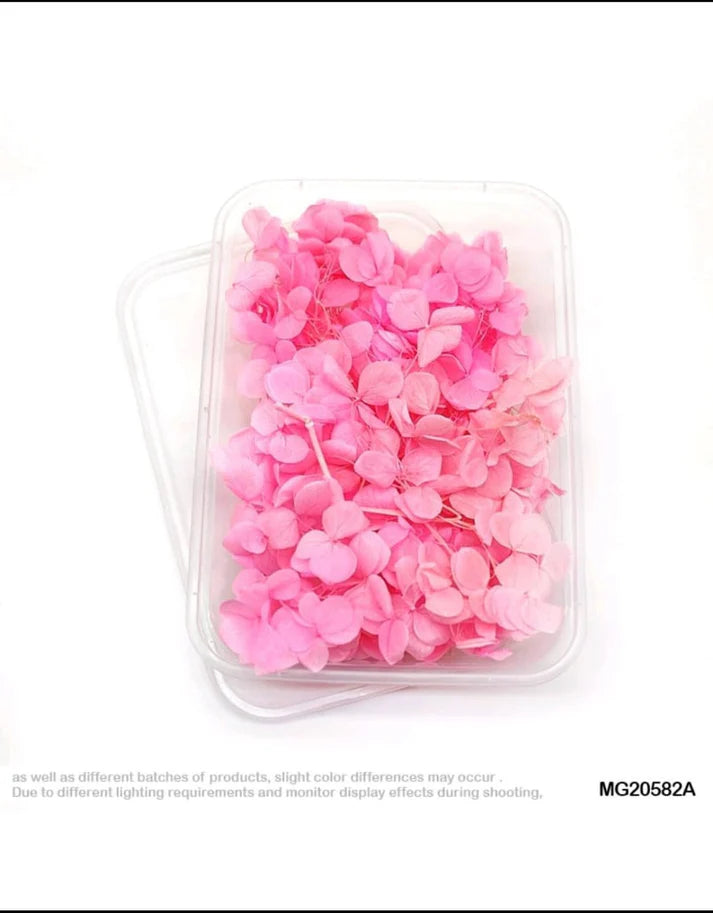 Dry Flower Storage Box for Crafting & Decoration