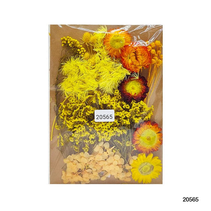 Dry Flower Big Pkt Mg20565