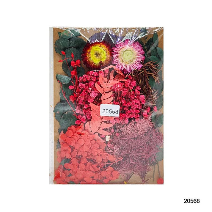 Dry Flower Big Pkt Mg20568