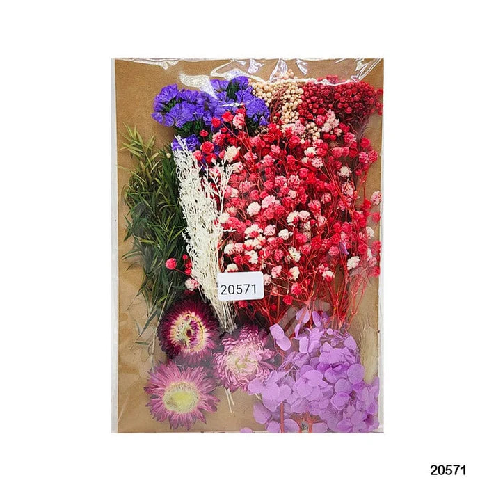 Dry Flower Big Pkt Mg20571