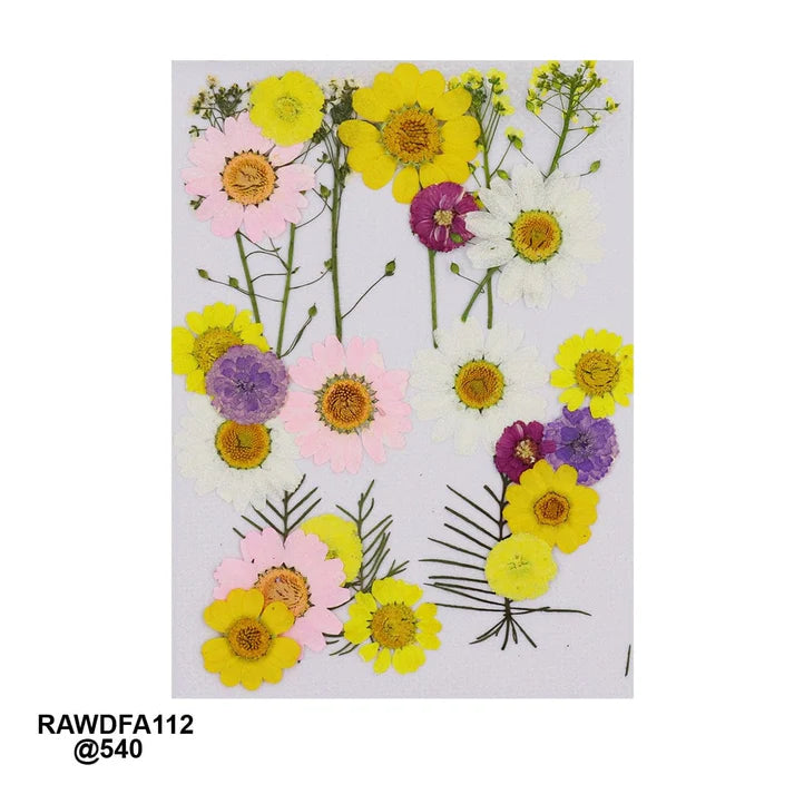Premium Big Pressed Dried Flowers | RAWDF-A112